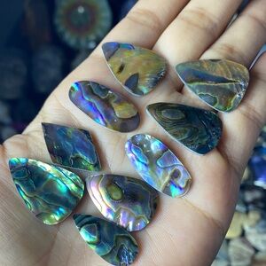 Abalone Shell Cabochons